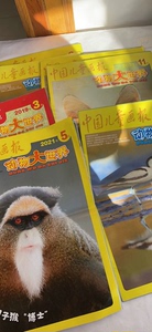 中国儿童画报动物大世界旧杂志5本19.8元打包卖包邮不挑选随