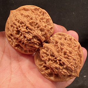 【文玩核桃】45满天星百花山狮子头精品对