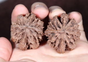 陕西秦岭灯笼文玩核桃