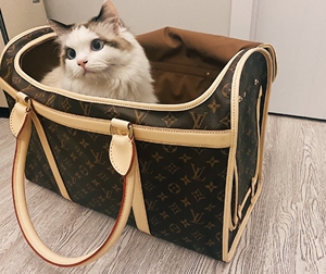 wxybb622淘宝代购lv宠物包lv老花宠物包lv宠物旅行包lv宠物袋 m420