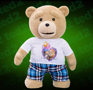 ted泰迪熊公仔60cm会说话录音娃娃抱抱熊毛绒玩具玩偶