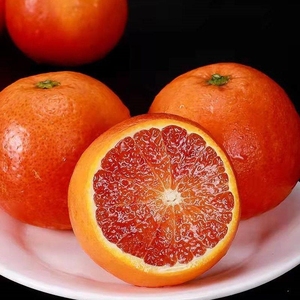 重庆玫瑰香血橙10斤薄皮新鲜红橙子水果塔罗科雪橙果园长寿湖血