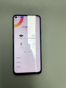 vivoz5x手机,6 128,高通骁龙710处理器,全网通_阿里巴巴找货神器