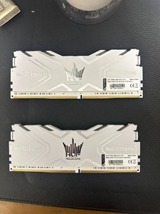 影驰名人堂ddr4 8×2 16g  3000hz内存