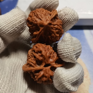 野生小众原树38白蛇谷狮子头骨质yyds皮质也不错有分量的小