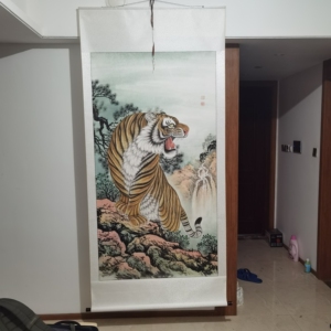 老虎画,中国画虎村王公庄,肖彦卿大师作品,六尺老虎,裱起来2