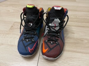 詹姆斯12代鸳鸯