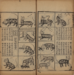 古玩字画 三世演禽骨書 袁天綱撰 拍前联系.