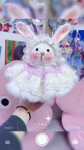 超大糖糖兔裙子款！新出的兔兔那么可爱，有喜欢的吗？188一只