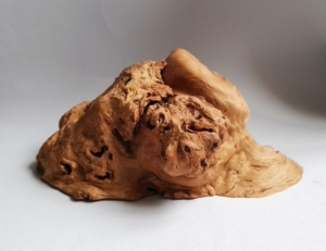 荔枝木瘤瘿木瘤山子香炉料 ,百年老瘤形意俱佳,好不好自己看懂