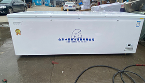 冰熊冰柜商用大容量冷冻冷藏超大卧式单温双温铜管速冻超市冰柜1