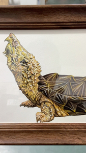 手绘作品变异大鳄龟画作马克笔画大鳄龟手绘装饰画黄金大鳄白金大