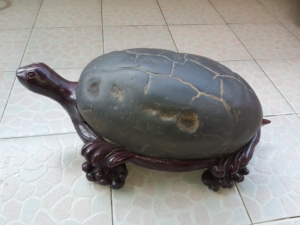 转让收藏石头龟型工艺品摆件,石背为天然河床鹅卵石,木托是整件