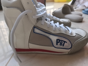 pbt击剑鞋