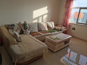 九成新日月星沙发低价出售