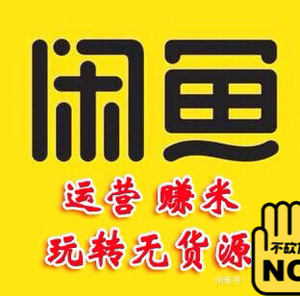 无货源闲鱼电商教程开店技巧咸鱼运营赚钱赚米项目教学