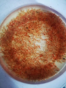 806人付款淘宝冷冻丰年虾成虫渤海