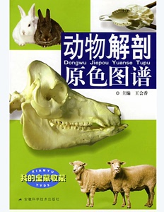 《动物解剖原色图谱》是畜牧shou医类各专业的一门十分重要的