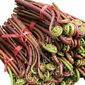 984人付款淘宝割勾广东蕨菜新鲜野生红蕨菜猫爪菜拳头菜现摘野菜(非青