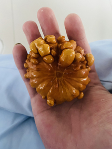 精品葫芦,墨西哥疙瘩葫芦购买前与我联系,看好物品在拍,小本生
