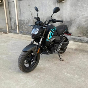春风sr250跑车st狒狒125cc大公仔摩托车小怪兽小猴子