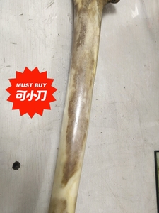 整根鸵鸟大腿骨手工万目抛光纯手工