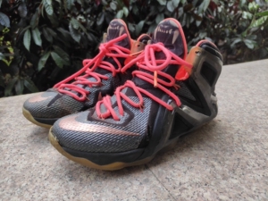 nike耐克篮球鞋 詹姆斯12代精英配色42码