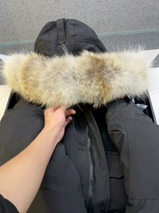 仅试穿，加拿大鹅飞行夹克01短款大毛领连帽户外极地羽绒服外套