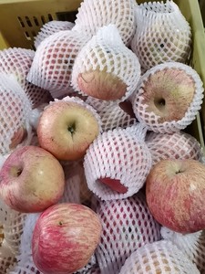 山东烟台栖霞红富士苹果，8到12个左右净重5斤微瑕，直接下单