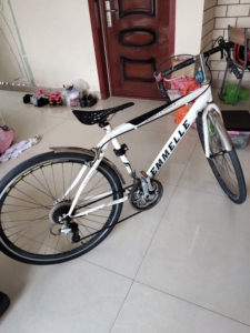 阿米尼自行车通勤