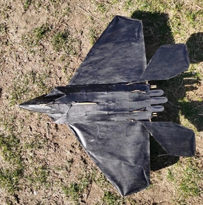 盘鹰风筝,立体盘飞机,两个一起出,新手最好勿碰,需要有经验者