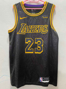 湖人队 23号 詹姆斯 黑色圆领加wish商标 热压球衣 x