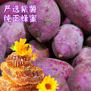 揭西特产 河婆南北情 蜂蜜紫薯干 430g一袋