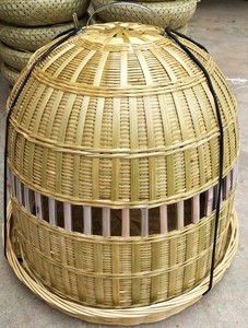 竹编鸡媒笼锦鸡笼竹鸡笼子鹧鸪笼鸟笼上山媒笼鸪媒笼山鸡笼