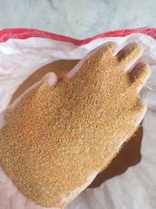 中药材葶苈子(黄蒿种子),山东临沂产地直销,需要的老板请联系