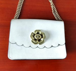 000人付款淘宝全新现货 coach parker18 专柜款 白色山茶花danie