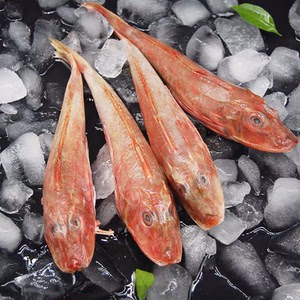 红娘子,新鲜鱼10斤包邮88原10斤