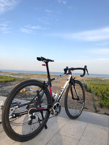 美利达斯特拉1000