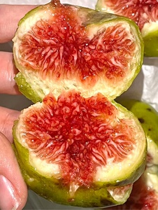 山东无花果鲜果威海荣成青皮无花果孕妇新鲜水果整箱空运包邮糖包