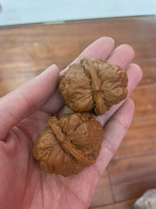 核桃王三蛤蟆头41边45肚