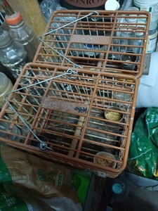 一代马料,蜡嘴,塑钢笼出售马料3对,蜡嘴两对,带杠碗钩60元