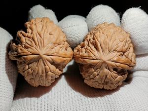 编号:402 精品平谷暴雪狮子头 骨质非常好 雪花底非常漂亮