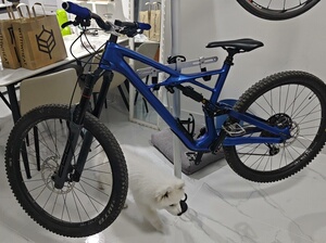 闪电enduro sworks 18款变色碳纤维l号车架(欧_阿里巴巴找货神器