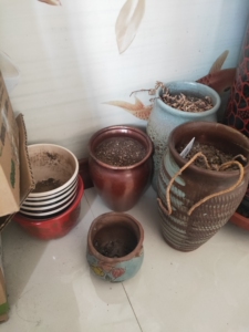 多肉花盆,40块钱一堆,不讲价,要就拍,没功夫墨迹,没多少钱