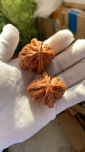 红宝石狮子头 原装不是夹板的 文玩核桃 老树密纹红宝石 老树