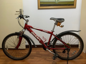 捷安特山地自行车 24寸 型号:chasers 540 铝合