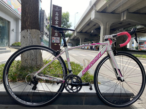 美利达 斯特拉400 破风纪念款