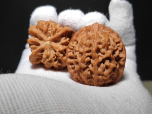 秦闷狮子头文玩核桃