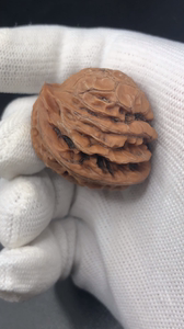 35尺寸宫灯蛇头异形单只文玩核桃