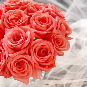 影星玫瑰花束鲜花